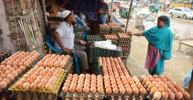অস্বাভাবিক দামে বিক্রিতে ভাটা, কমছে ডিমের দাম